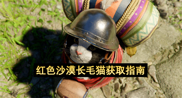呆猫是你吗？《红色沙漠》宠物长毛猫刷新条件
