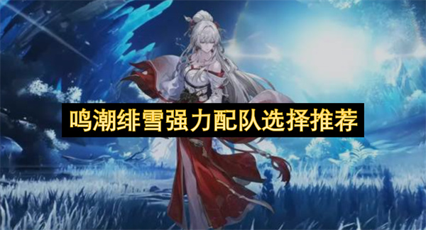 鸣潮绯雪队伍体系搭配思路