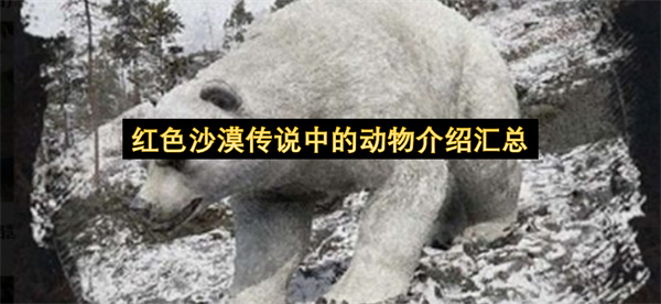 红色沙漠传说动物全图鉴全收集