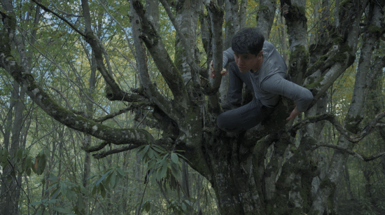 为还原真实求生体验，开发者亲身野外生存四十天取景