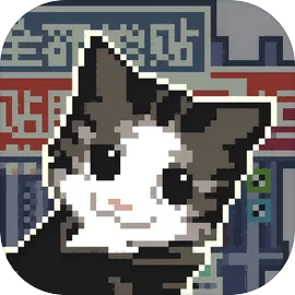 喵师傅，你是干什么的？