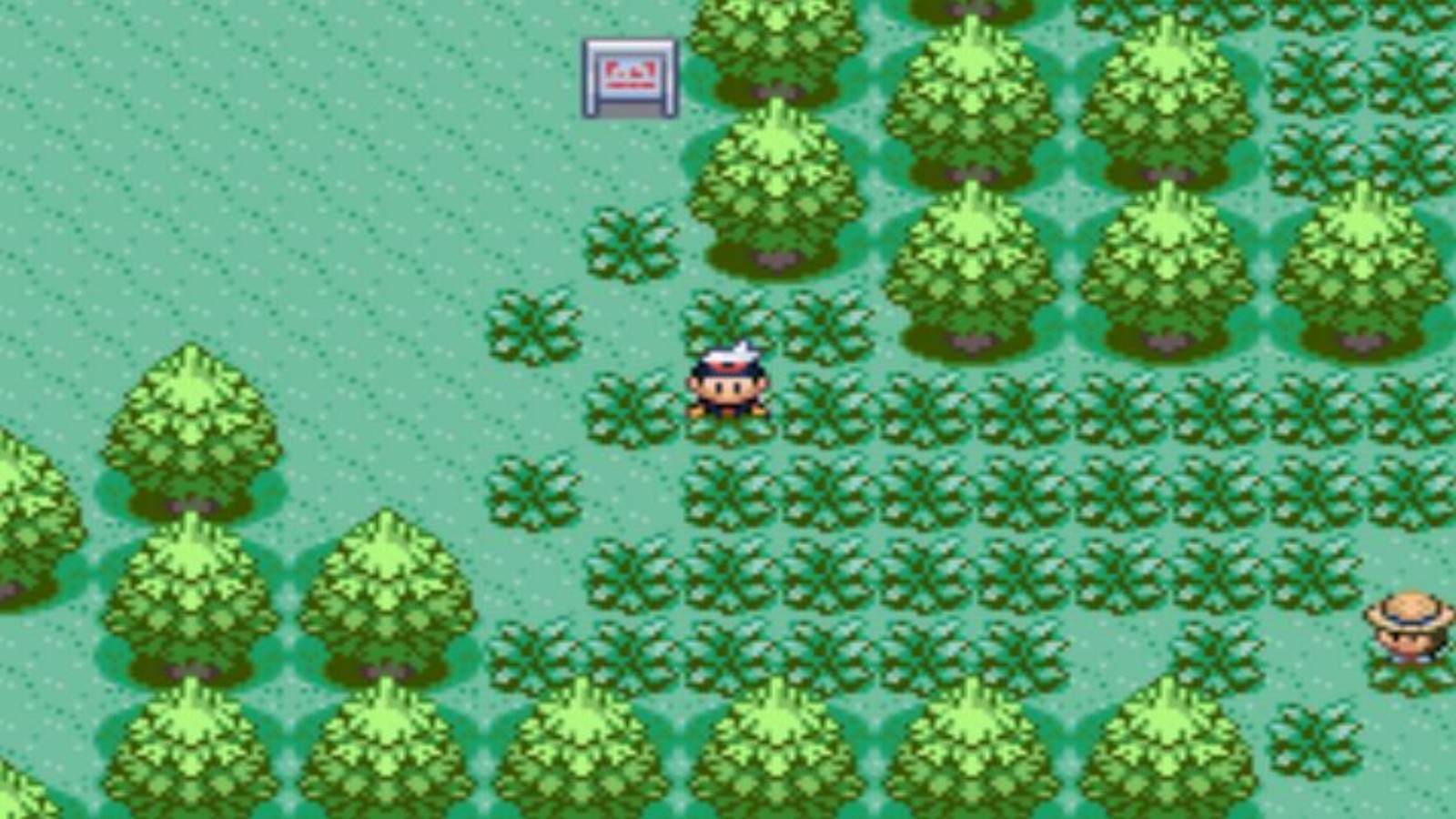 口袋妖怪漆黑的魅影截图1