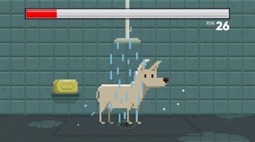 狗狗庇护所截图1