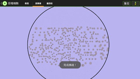 细胞实验室截图3