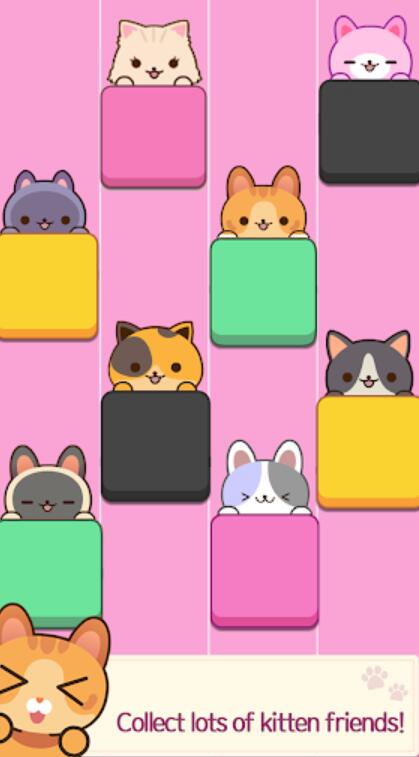 猫咪弹钢琴截图3