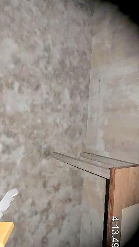 恐怖老奶奶模拟截图3