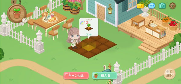 城市中的可爱花园截图4