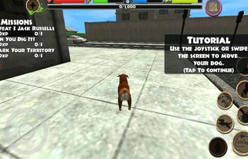 流浪狗模拟器截图3