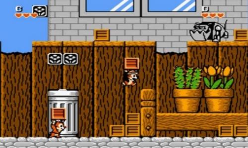 松鼠大战2截图2