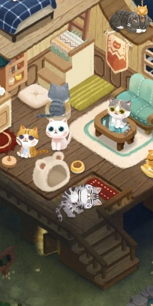 猫咪的秘密森林截图1