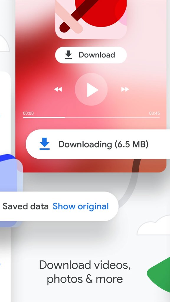 chrome海外版截图3