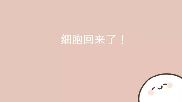 我的49天与细胞截图1