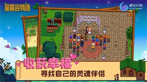 星露谷物语汉化版(StardewValley)截图2