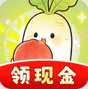 我的种田时光