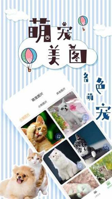 人猫翻译交流器截图4