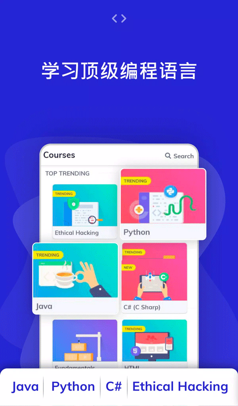 programming hub截图2