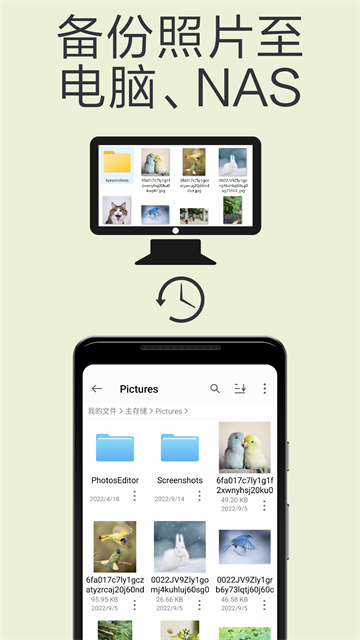 猫头鹰文件截图5