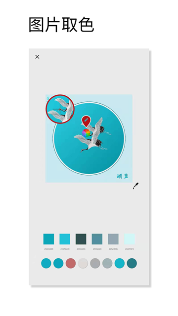 观色配色截图5