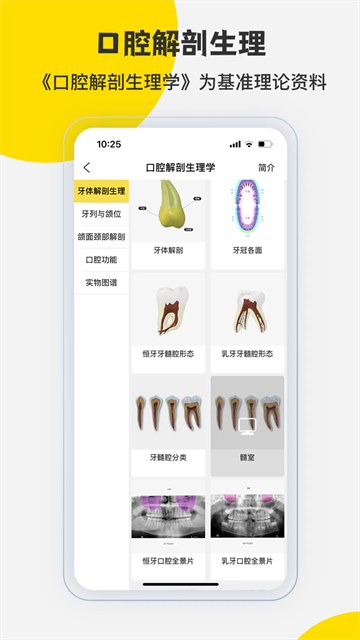 3Dbody解剖截图1