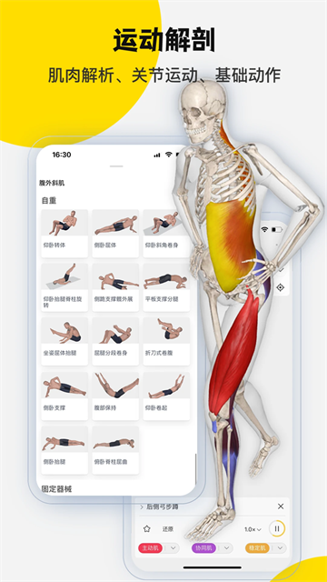 3Dbody解剖截图4