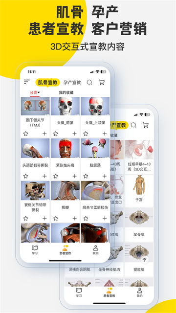 3Dbody解剖截图5