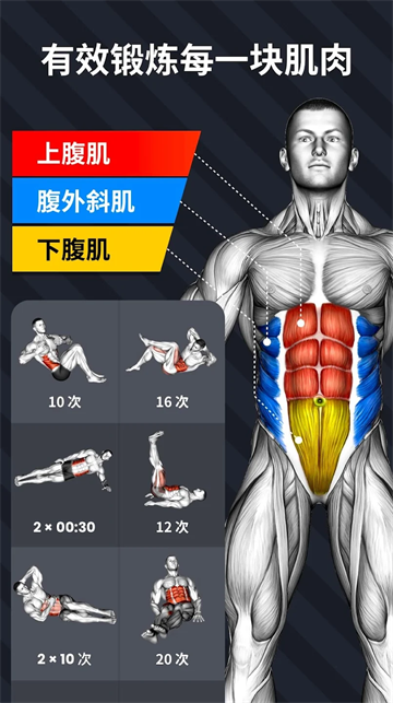 30天内练出六块腹肌截图3