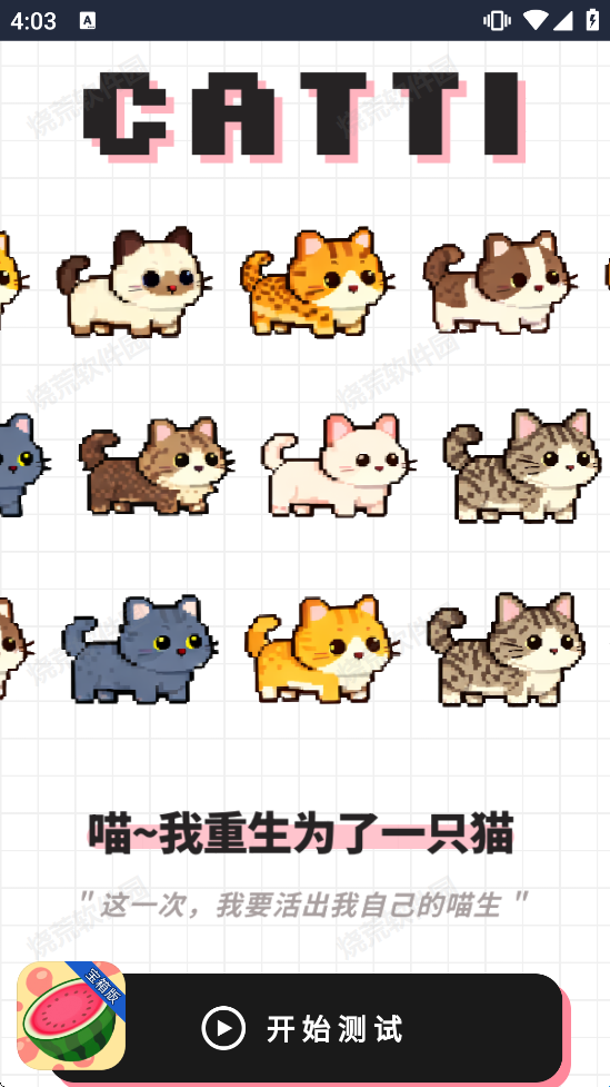 catti人格测试截图1