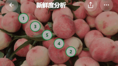 FruitAI截图2