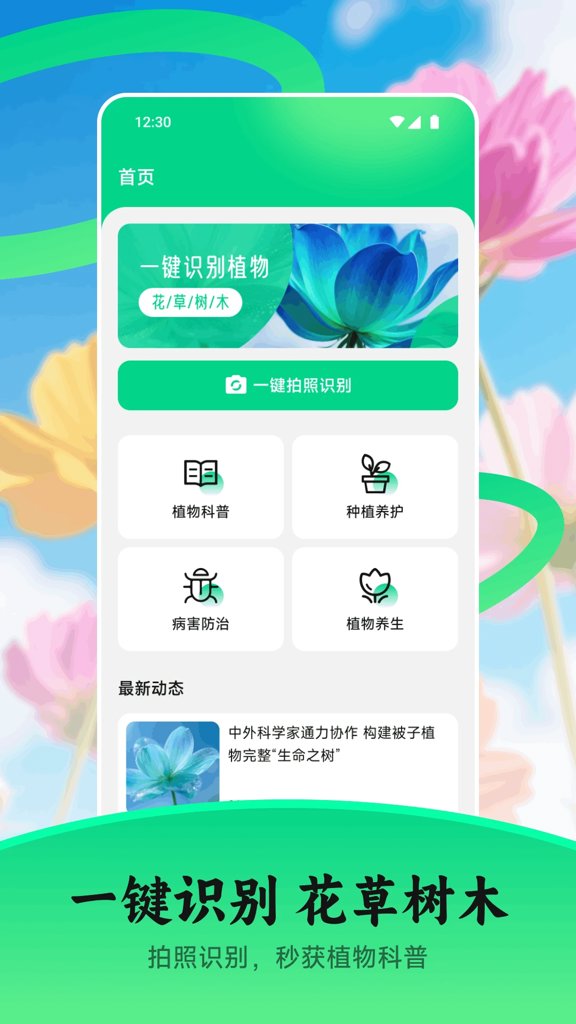 花苞截图1