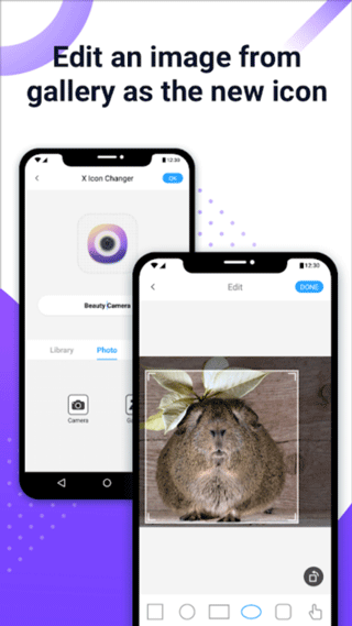 XIconChanger截图2