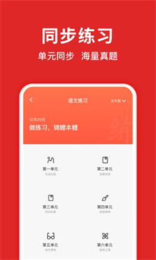 题拍拍拍照搜答案截图2