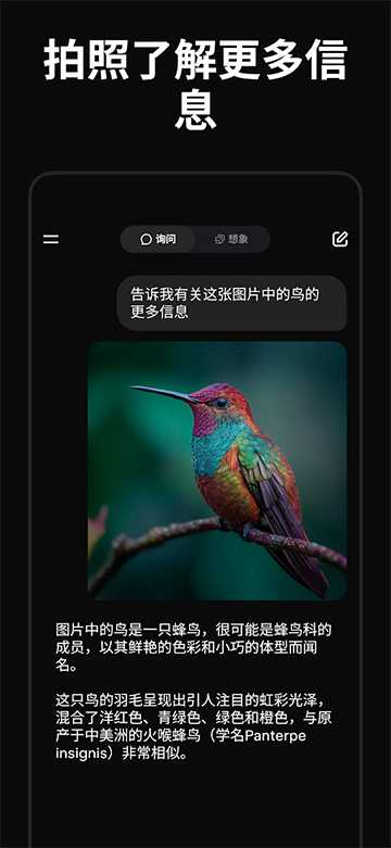 grok中文版截图2