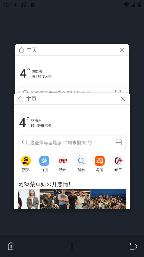 黑鲨浏览器免费原版截图4