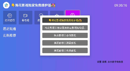 梅花影视截图2