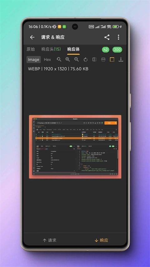 小黄鸟抓包软件免费原版截图1