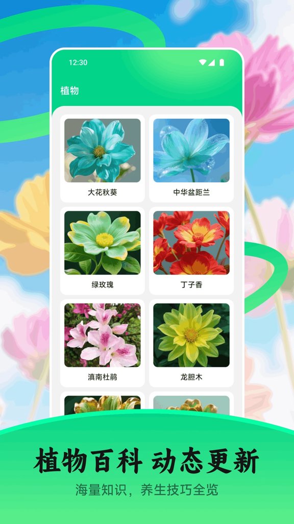 花苞截图4
