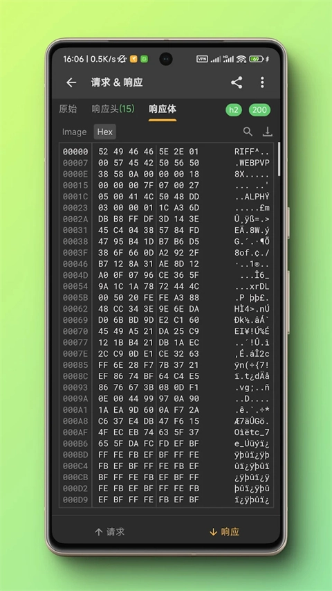 小黄鸟抓包软件免费原版截图2
