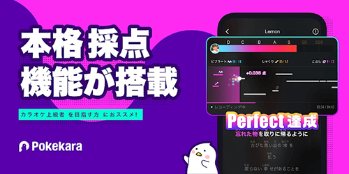 Pokekara app截图3