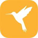 小黄鸟抓包软件免费原版